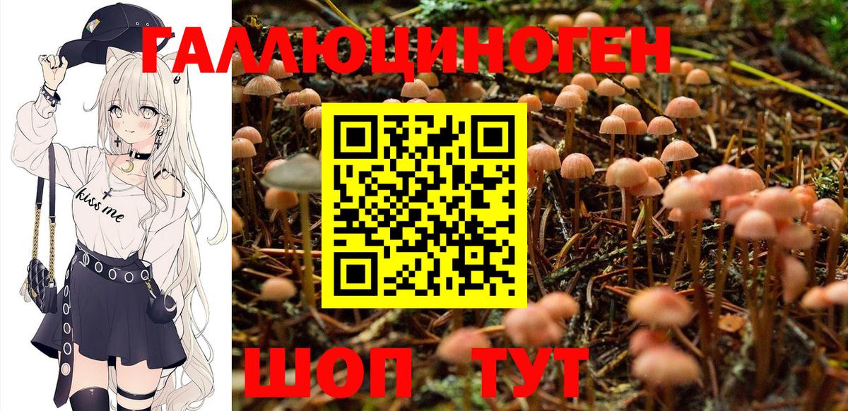 Коломна  Галлюциногенные грибы Cubensis  Вход с VPN 