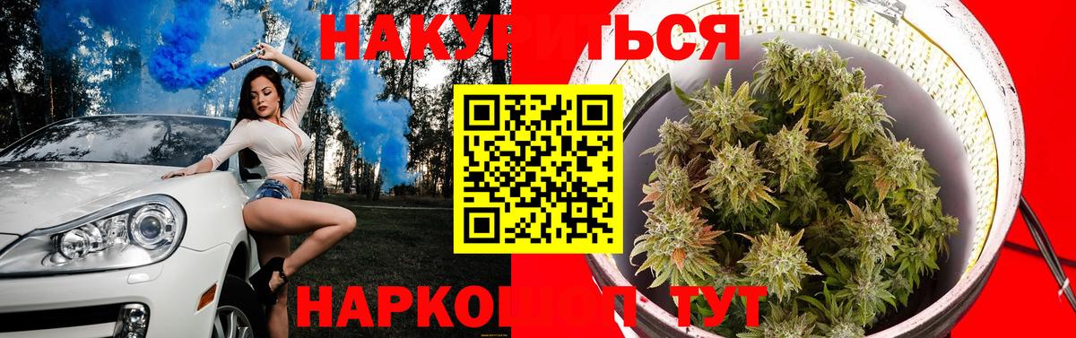 МАРИХУАНА конопля Коломна